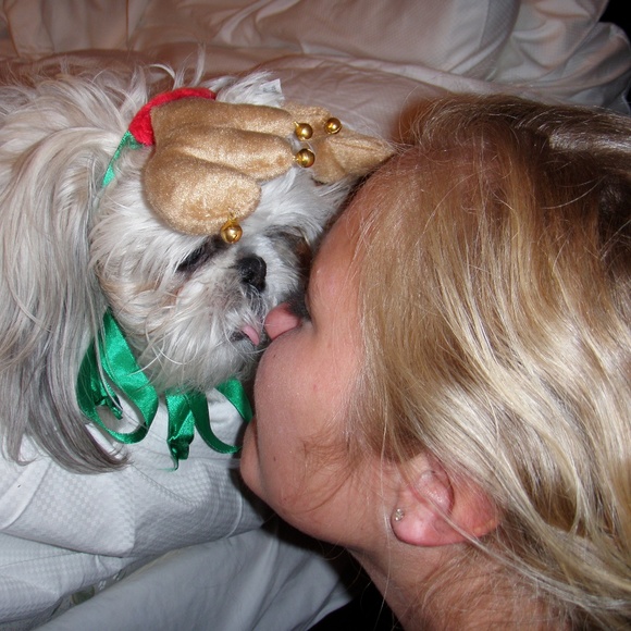 Meet your Posher, Sammie! - Picture 3 of 3